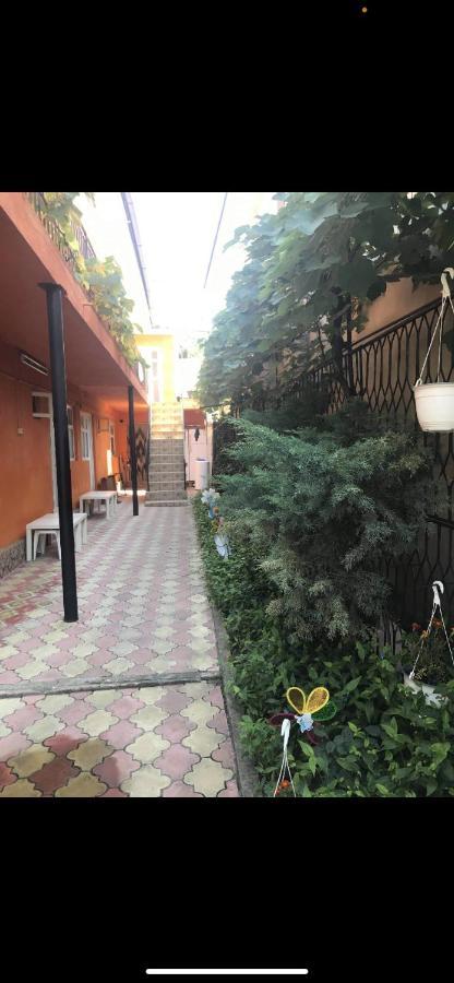 Vila Gino Hotel Costineşti Exterior foto